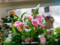 淮安春之宇网络科技有限公司